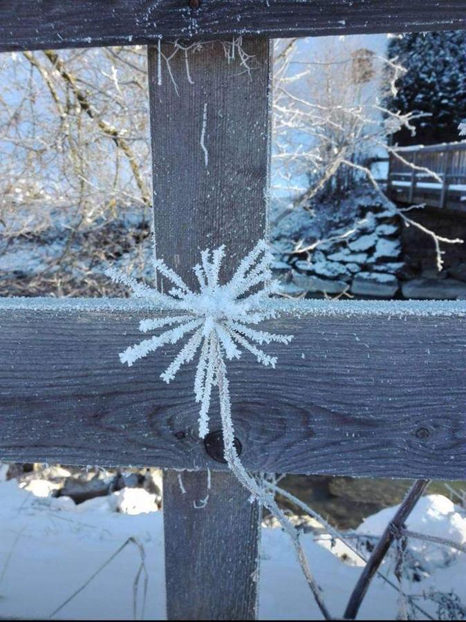 Gaesteheim Kroessbach Neustift im Stubaital Exteriér fotografie